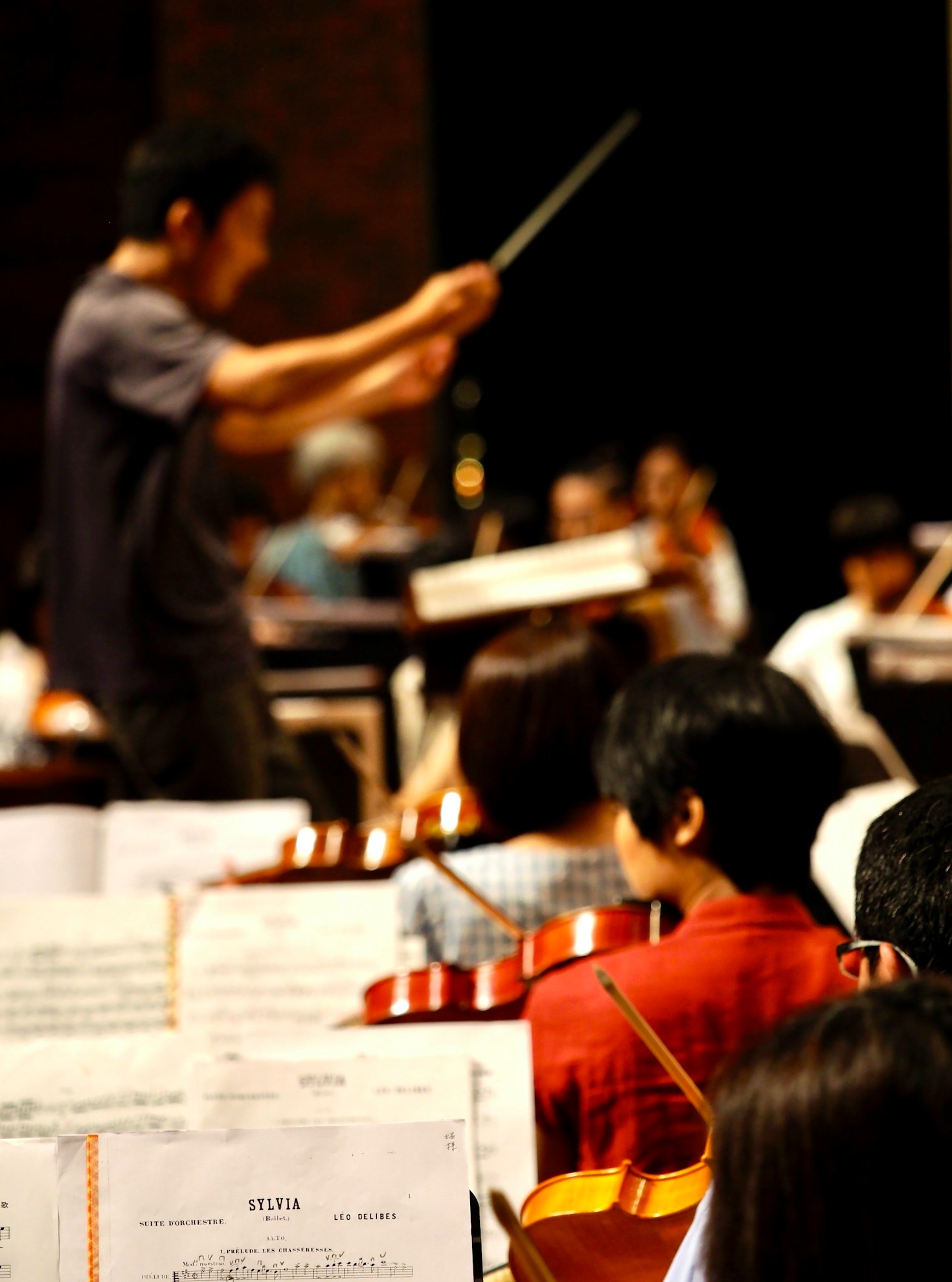 Top Benefits of Joining the BSO Conducting Workshop